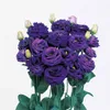 100 PCS Bags Rare Eustoma Flower Planta en maceta Lisianthus Colors mixtos Variedad de planta de flores Completa la tasa de adquisición 953399624