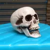 Halloween Skull Prop Scary Simulation Plastic Skull Decor Skull Skeleton Props for Party Haunted House Roombreak Bar JK1909XB