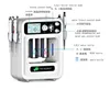 4 po Aqua Jet Peel Spa Injection de perfusion d'oxygène H2O2 Aquasure Skin Scurpor Tiny Bubble Hydra Dermabrasion Machine faciale