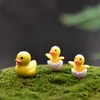 Mini Decoration 2 pcs Crafts Garden Duck Ornament 1 Adult Duck and1 Hatching Duck Terrarium Figurines Micro Landscape