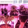 900W 1200W 1500W 1800W 2700W 3600W LED Grow Light spettro completo rosso/blu/bianco/UV/IR 380-800nm per piante e fiori da interno