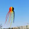 Acessórios Polvo Kite 3D Kite Cartoon Colorido Skeletonfree Long Tail Fácil de voar Praia Kites esporte ao ar livre Jogar