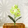 1PCビビッドカラー人工蝶蘭の花ない偽の花のアレンジメントガーデンウェディングDIYパーティーホームデスク装飾1199T