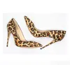 Mode Designer Leopard Print Hoge Hakken Vrouwen Sexy Pumps Plus Size Lady Dress Schoenen Puntschoen Teen 12 Cm Bridal Trouwschoenen