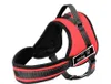 Imbracatura per cani in nylon imbottito morbido Imbracatura per cani senza trazione per cani di taglia media Maniglia Imbracature sportive Pitbull Accessori per animali domestici S M L