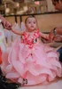 Pink Organza Ball Gown Flower Girl Dress Butterfly 3D Floral Applique Layered Ruffles Girls Pageant Dresses Birthday Party Dress