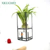 Nordic Transparent Glass Double Layer Hydroponic Sukkulente Pflanzenvase Geometrie Pflanzenblume Inserter Home Dekoration Blume Pot T28663330