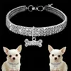 Bling Rhinestone Pearl Halsband Hundkrage Alloy Diamant Puppy Djurkrafter för små hundar Mascotas Dog Tillbehör