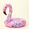 schwimmender flamingo