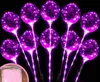 LED Flashing Balloon Transparent Luminous Lighting BOBO Ball Balloons With Feather 3M String Balloon Xmas Wedding Party Decoration GGA2191