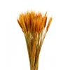 50Pcs/lot Real Wheat Ear Flower Natural Dried Flowers for Wedding Party Decoration DIY Craft Scrapbook Home Decor Wheat Bouquet