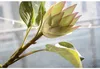 New Artificia Africa Protea Cynaroides Silk Flowers Fake Flowers Branches Home Wedding Decoration Wreaths Plants Floral 3 Colors