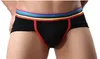 Men's Underwear Rainbow Low Rise Modal Briefs Pack278K