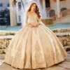 مدهش مطرز الرباط الكرة بثوب فساتين Quinceanera شير باتو عنق طويل الأكمام حفلة موسيقية فساتين مطرزة الاجتياح قطار تول الحلو 15 اللباس