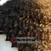 1B427 Ombre Virgin Kinky Curly Fair Weave Bundle z zamknięciem Brazylijskie ludzkie włosy 3 wiązki z 44 pełnym koronkowym zamknięciem 7053019