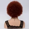 Short Curly Afro Wigs for Women Dark Brown Full Synthetic Hair Wig Brownish red America African Natural Wig Cosplay