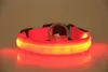 Nylon LED-hundhalsband för hundar Nattsäkerhet Blinkande Glow In The Dark Hundkoppel, Hundar Lysande Fluorescerande Halsband Husdjurstillbehör USB Uppladdningsbar