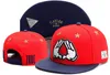 高品質のファッションブランド交換帽子スナップバックポロケースボーン調整可能なアダルトストラップバック野球帽子Street DA7361338