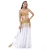 Performance 2018 Belly Dancing Clothing Oriental Dance Outfit Set Bh Belt Split kjol Kvinnor Belly Dance Costume 3PCS304J
