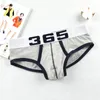 JanuariSnow hot koop mannen ondergoed sexy mannen slips mesh ademend comfortabele onderbroek u pouch mannelijke slipje Cueca tanga slip homme