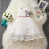 Baby Girls Lace Dress With Flower Brosch Kids Design Mesh Tutu Kjolar Ny sommar Barn Gaze Vest Klänningar 3 färger Z01