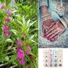 Weißes rot schwarzes Henna -Kegel Kit Mehendi Körpermalerei Kunst Akvagrim Henna Tool mit 10 Sex Tattoo Stickers8601028