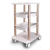 Salon Furniture Trolley Spa Styling Pedestal Rolling Cart Two Shelf Abs Aluminum US Stock In Beauty Center3595532