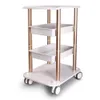 Salon Furniture Trolley SPA التصميم Bedestal Rolling Cart اثنين من الجرف ABS الألومنيوم الولايات المتحدة الأسهم في مركز تجميل