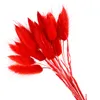 50 pcs flores secas naturais flores artificiais brancas de pelúcia colorido cauda de coelho falso grama foxtail buquê cachos longos flor artificial