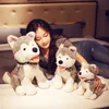 simpatico animale bambola husky peluche grande simulazione cane cartone animato cuscino per bambini regalo 48 cm 19 pollici DY50707