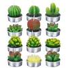 6pcs 12pcs plantes succulentes artificielles bougie de cactus pour la fête d'anniversaire fête de mariage décoration de vacances décor à la maison Y200531