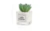 Kunstmatige succulente plantenblad Desktop decoratie draagbare stenen glazen fles
