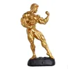 New Male Bodybuilder Resin Painted Statue Men Sexy Fitness Gym Figure Muscle Bodybuilding Free shipping