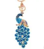 10pcslot femmes Paacock Keychain Bling Rignestone Key Chain élégant coloré de paon animal clé clés sac à bague Pendant charme de charme 7138377