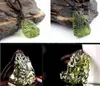 Naturalny zielony Aerolites Moldavite Crystal Kamień Energia Energia ApotropaiC4G6G LOP LOPA Unikalny naszyjnik CX20069853415