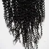 Kinky Curly Clip em extensões de cabelo para mulher negra 100g / conjunto clipe afro-americano em extensões de cabelo humano