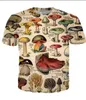 Neueste Modemenschen/Womans Pilz im Sommerstil T-Shirts 3D-Druck lässig T-Shirt Tops Plus Size BB096