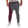 Spring Autumn Men's Casual Autumn Winter Cotton Zipper Hip Hop Trousers Joggers Midweight Harem Drawstring Pants Drop Shipping