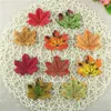 50 pezzi/lotto foglie artificiali Fiori d'acero di seta foglia di autunno per scrapbooking artistico Decorazione per feste di nozze Flores 4057