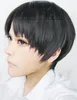 Wholesale free shipping >>>>Attack On Titan Levi Cosplay Wig Short Bob Black Synthetic Full Wigs
