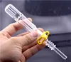 El kit Micro NC de 4,5 pulgadas más barato con 14 mm 18 mm Punta de clavo de cuarzo Clip de plástico Keck Mini Tubos de quemador de aceite de vidrio plataforma petrolera DAB Bong