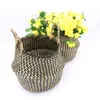 Woven basket seaweed flower pot seagrass folding storage belly type natural grass plant holder foldable home decor