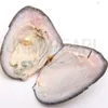FBA JNMM Austern mit Perlen Innen Groß 7-8mm SINGLE Oyster Perlen runde Frischwasserperle Oyster Mischfarben für Kinder-Party-Geschenk