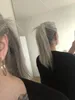 Sól i pieprz szary ponytail fryzura szary włosy, część boczna ponytail, szary naturalny hightlight sól i ponytail