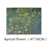 Fiori di albicocca Apri i maestri dell'impressione Retro Adesivo da parete in carta Kraft Poster Notte stellata Cafe Adesivo da parete 47X36 cm