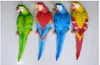 Gesimuleerde halfzakken papegaai tuin decoraties boom wandmontage vogelmodel hars ambachten indoor dierlijke ornamenten