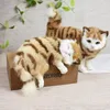 2 pcs simulação gato modelo animal casa ornamentos criativos bonito boneca de brinquedo de pelúcia presente fotografia adereços DY80050