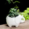 Suckulent blomkruka keramik flodhäst söt vit europeisk trädgårdsarbete kreativ planter balkong skrivbord potted animal desk decoration