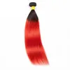 Brasilianskt jungfruhår 1b 30 1b 27 1b 613 Human Hair Extensions One Bundle Peruansk Indian 1B Red 1B Grey Two Tones Ombre Color Hai304J