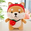 Cute Dog Akita Small Doll Doll Doll 5 Stili Carino Shiba Inu Bambola per bambini cuscino cuscino giocattoli peluche